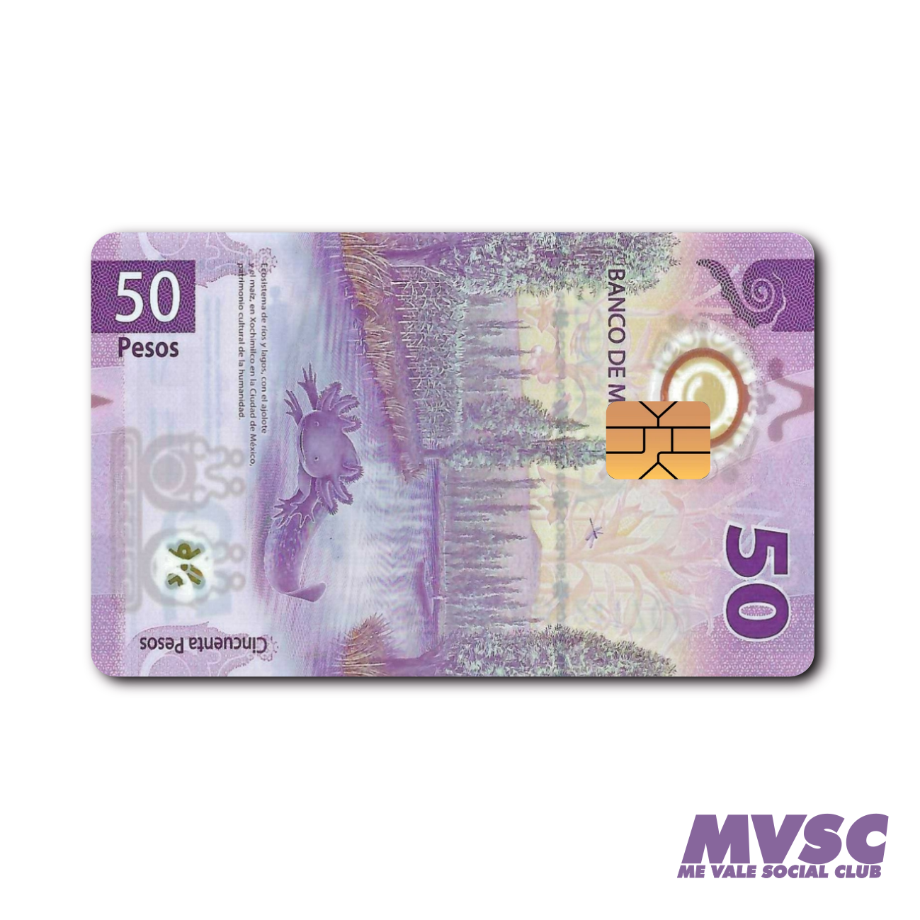 Funny Mexican Credit Debit Card Skin Cover Vinyl Sticker